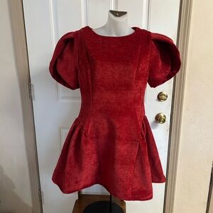 NWOT Large Aveloria Burgundy Rosie Tulip Short Sleeve Flared hem Mini Dress.